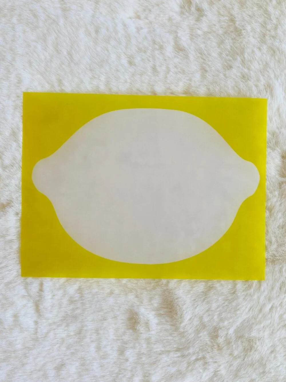 Invitations Lemons and Limes with Envelopes 10-count Vellum Paper Summer NEW